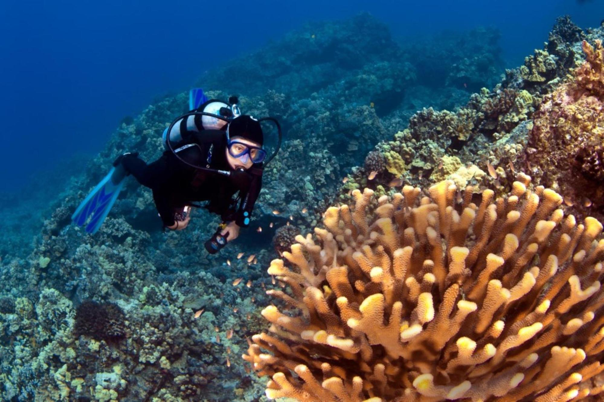 Kaleialoha 309 Villa Kahana Dış mekan fotoğraf